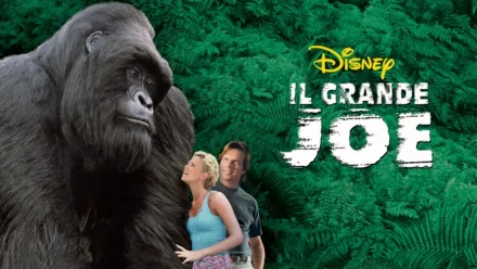 thumbnail - Il Grande Joe