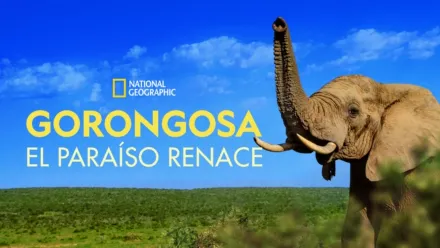 thumbnail - Gorongosa: El Paraíso Renace