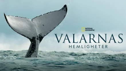 thumbnail - Valarnas hemligheter