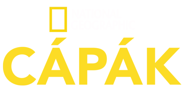 National Geographic – cápák Title Art Image