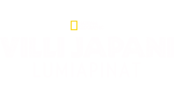 Villi Japani: lumiapinat