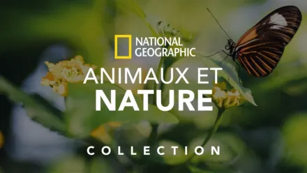 thumbnail - National Geographic : Animaux et nature