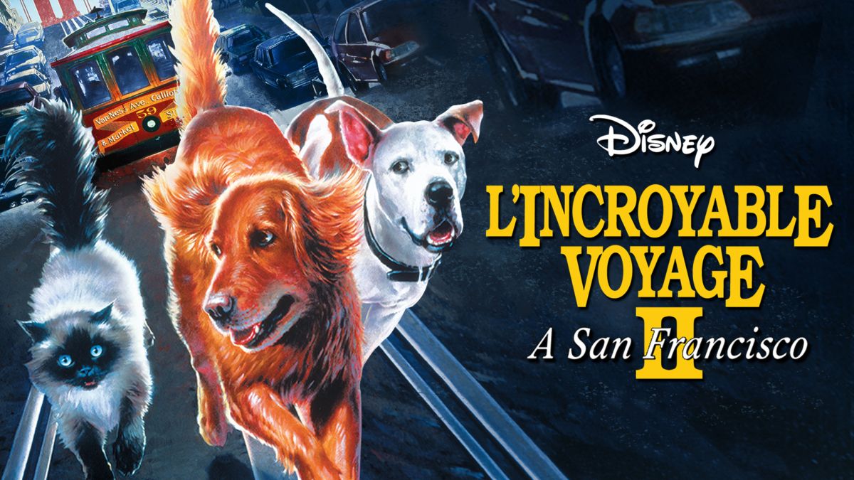 L Incroyable Voyage Film Complet En Francais Regarder L'Incroyable Voyage à San Francisco | Film complet | Disney+