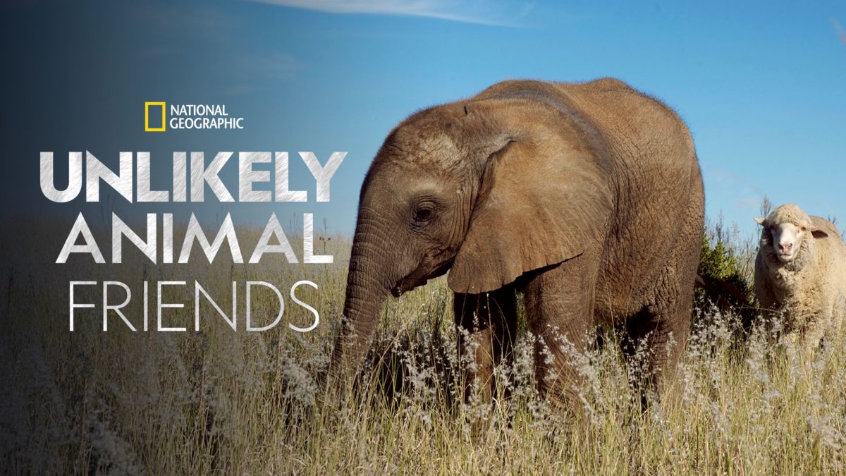 Watch Unlikely Animal Friends Full episodes Disney+