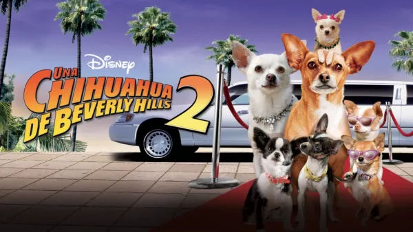 thumbnail - Una chihuahua de Beverly Hills 2