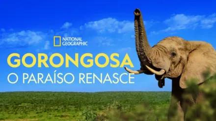 thumbnail - Gorongosa: O Paraíso Renasce