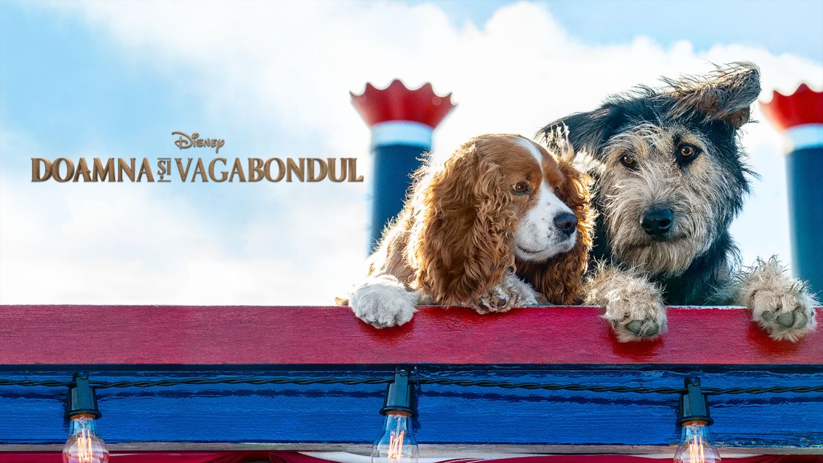 Doamna Si Vagabondul Dublat In Romana Doamna Și Vagabondul | Disney+