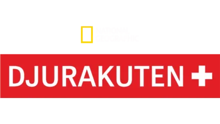 Djurakuten Houston