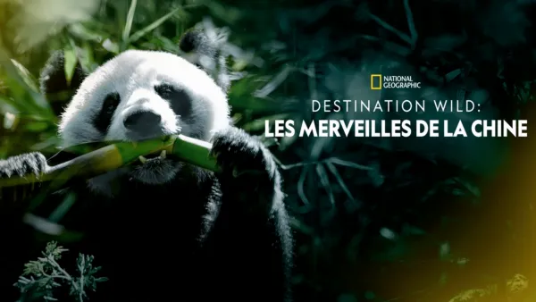 thumbnail - Destination Wild : Les merveilles de la Chine