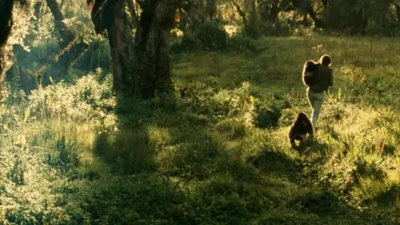 Dian Fossey: Secrets dans la brume