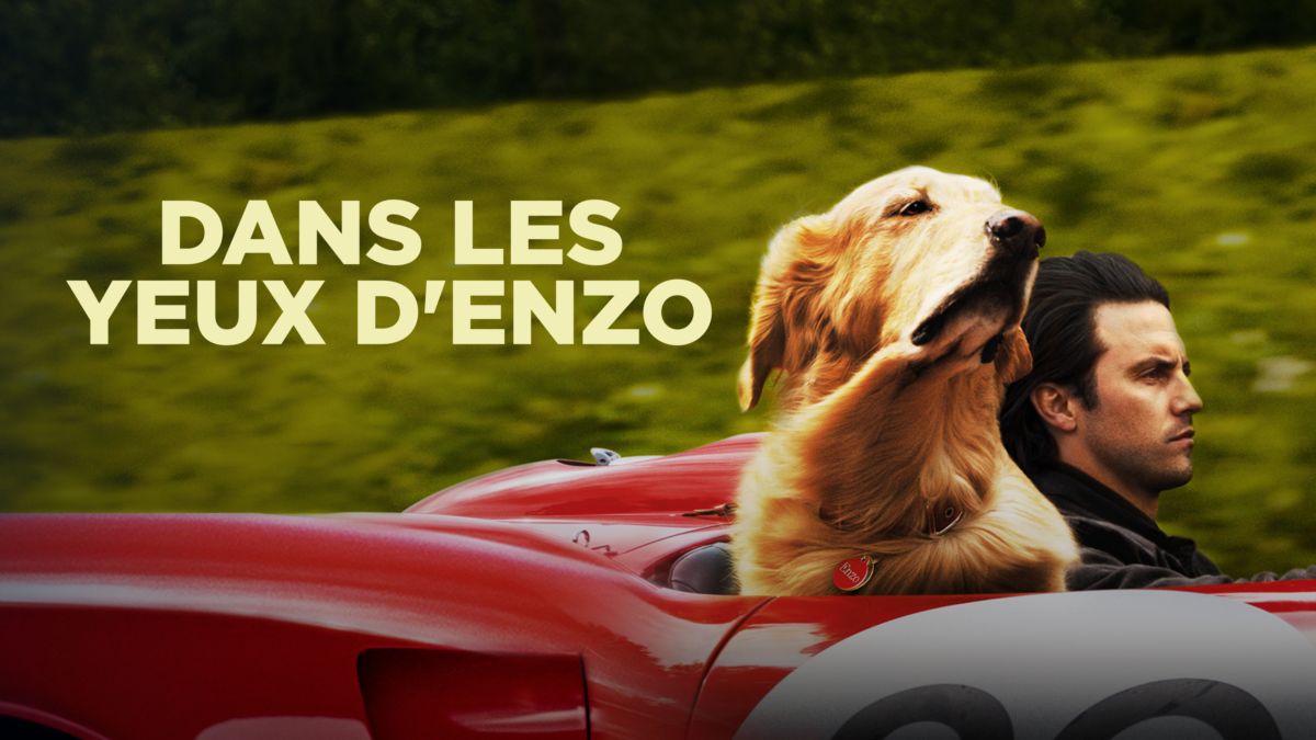 Dans Les Yeux D'enzo Streaming Regarder Dans les yeux d'Enzo | Film complet | Disney+