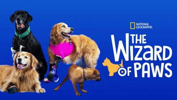 thumbnail - The Wizard of Paws