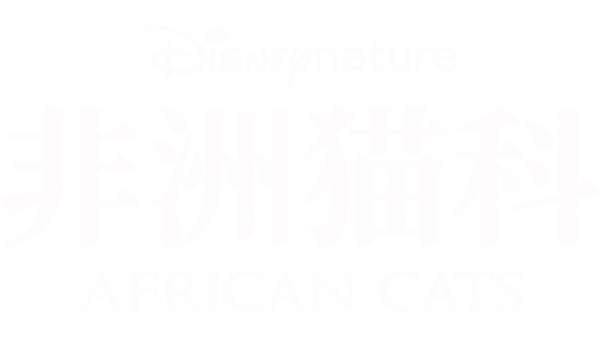 非洲猫科