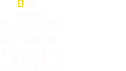 When Sharks Attack 360