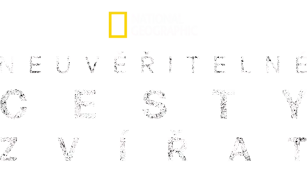 Neuvěřitelné cesty zvířat