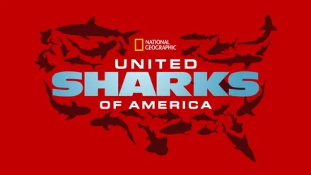 thumbnail - United Sharks of America