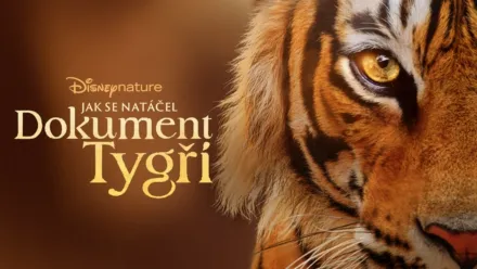 thumbnail - Jak se natáčel dokument Tygři
