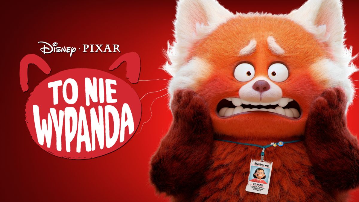 To Nie Wypanda Cały Film Za Darmo Po Polsku