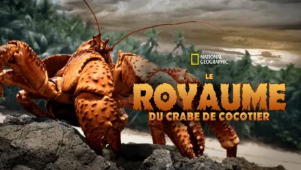 thumbnail - Le royaume du crabe de cocotier