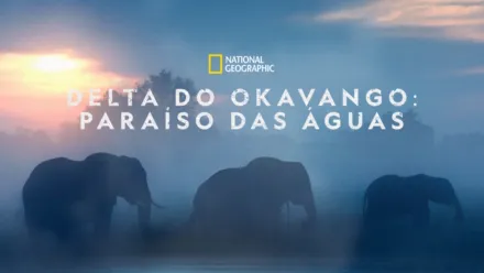 thumbnail - Delta do Okavango: Paraíso das Águas