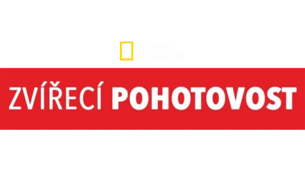 Zvířecí pohotovost