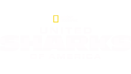 United Sharks of America