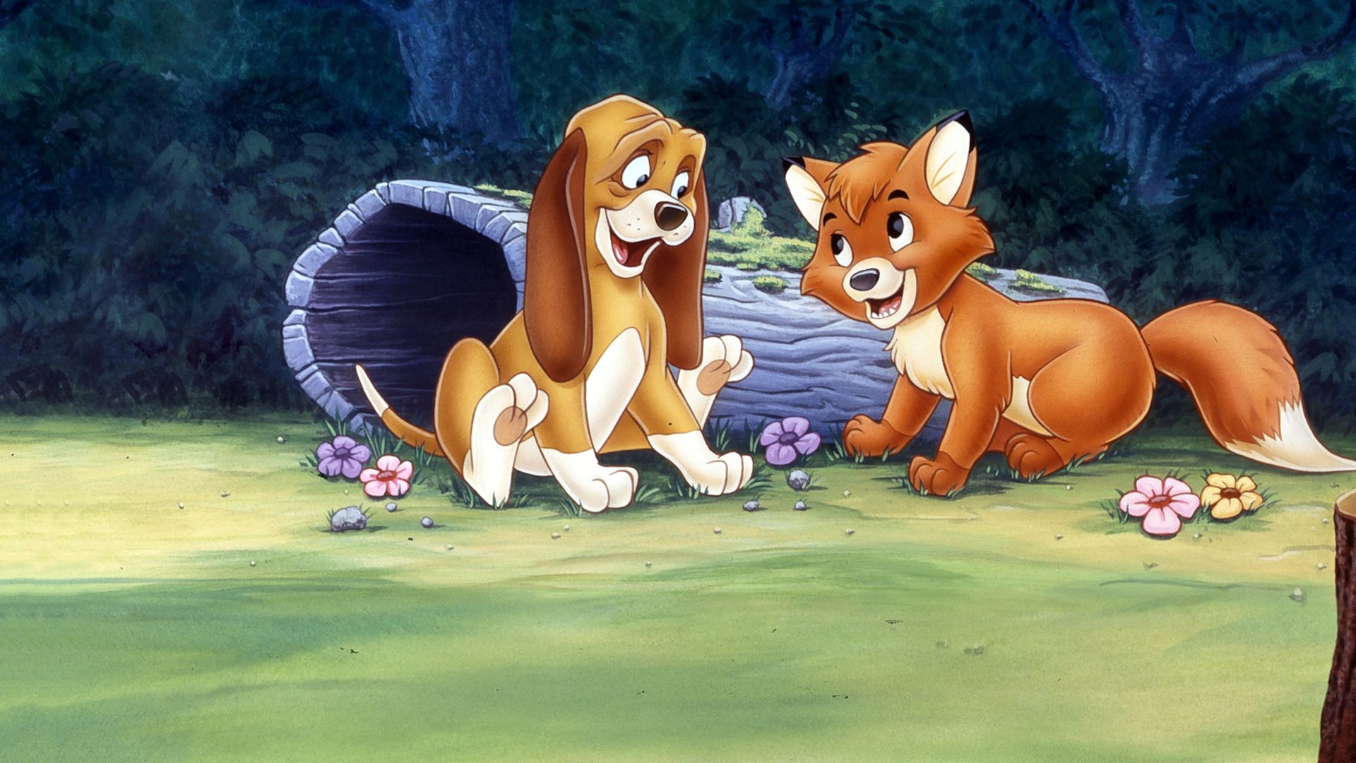 Watch The Fox and the Hound Full Movie Disney+