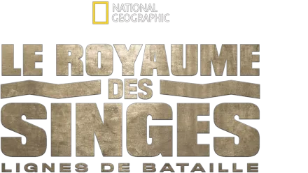 Le royaume des singes: Lignes de bataille