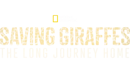 Saving Giraffes: The Long Journey Home