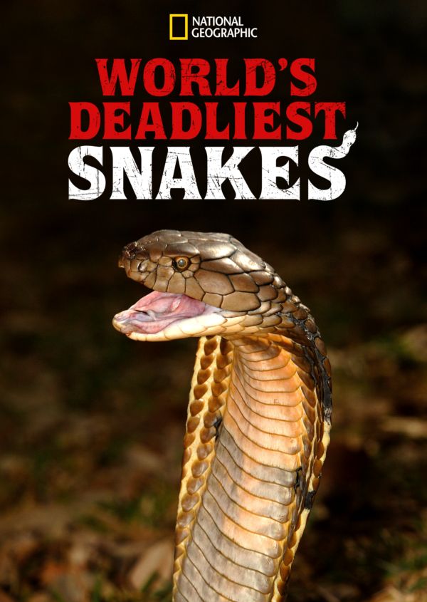 World’s Deadliest Snakes on Disney+ UK