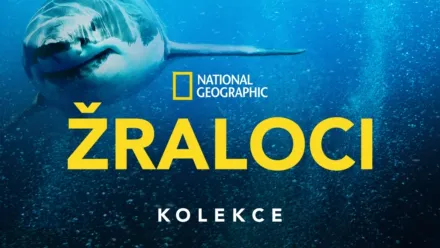 thumbnail - National Geographic Žraloci