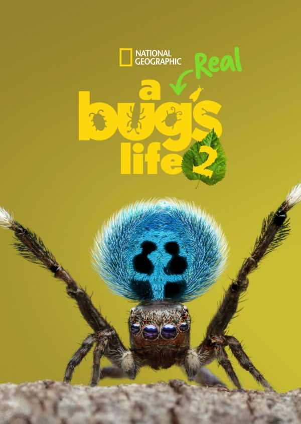 A Real Bug's Life on Disney+ UK