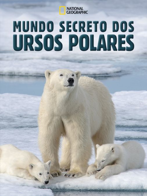 A Ursa Polar': Documentário já está disponível no Disney+! - CinePOP