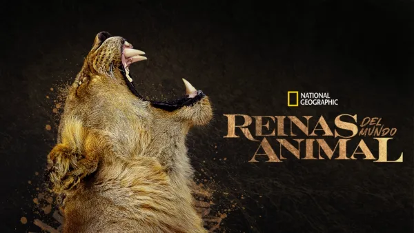 thumbnail - Reinas del mundo animal