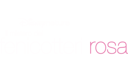 Il Mistero dei Fenicotteri Rosa