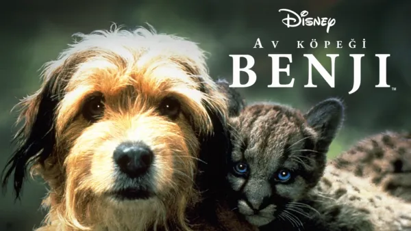 thumbnail - Av Köpeği Benji