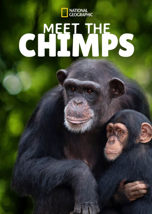 Meet The Chimps
