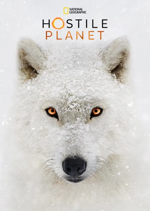 Watch Hostile Planet | Full episodes | Disney+