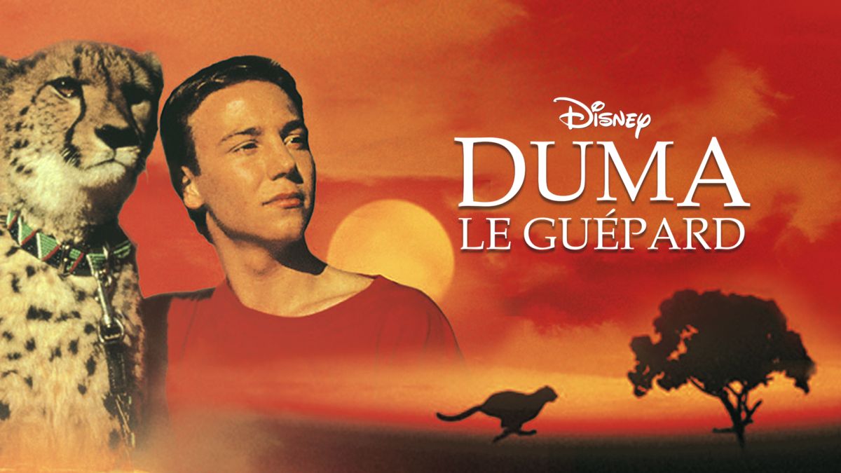 Duma Film Complet En Francais Regardez Duma le guépard | Film complet | Disney+