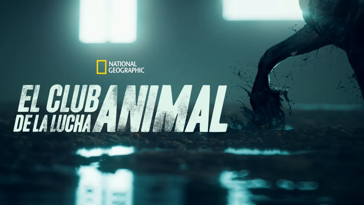 Ver los episodios completos de El club de la lucha animal | Disney+