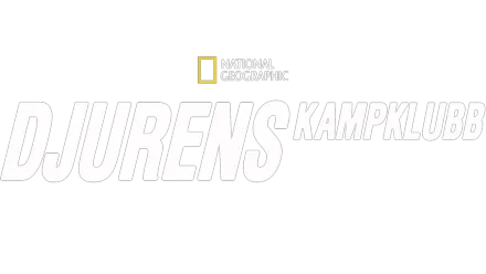 Djurens kampklubb