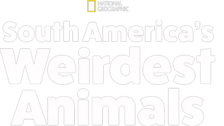 South America's Weirdest Animals