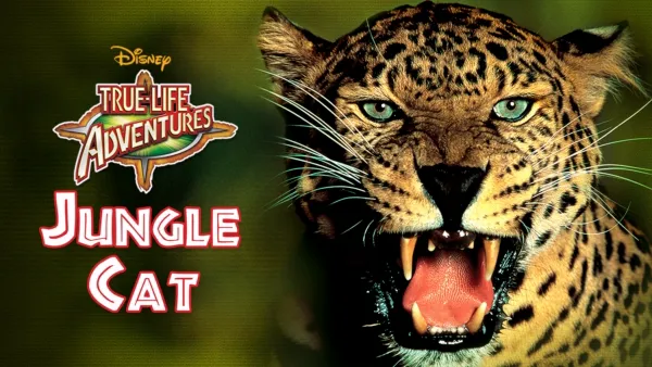 thumbnail - Jungle Cat