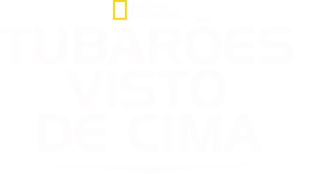 Tubarões Visto de Cima