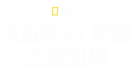 大白鯊對上虎鯨：三振出局