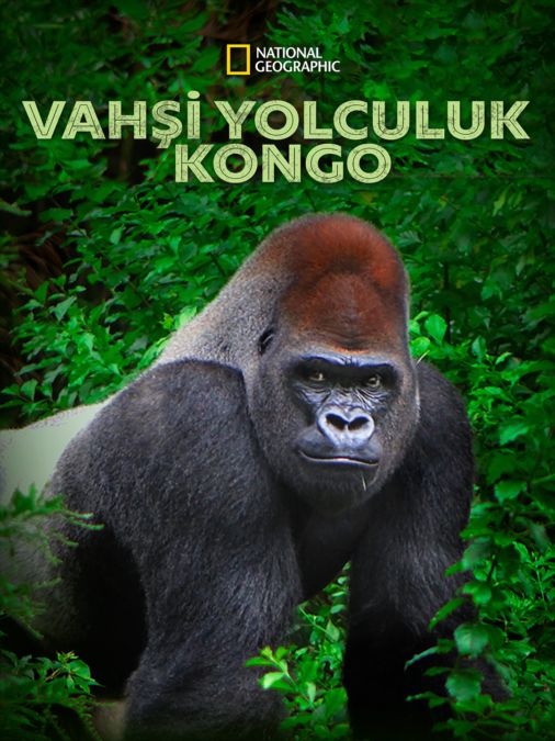 Vahşi Yolculuk: Kongo_tr 6