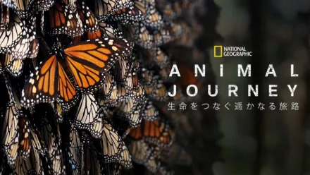 thumbnail - Incredible Animal Journeys