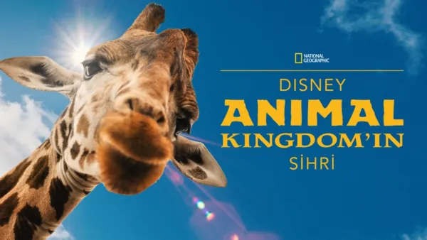 thumbnail - Disney's Animal Kingdom’ın Sihri