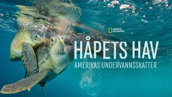 thumbnail - Håpets hav: Amerikas undervannsskatter
