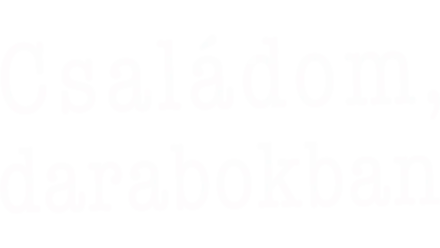 Családom, darabokban